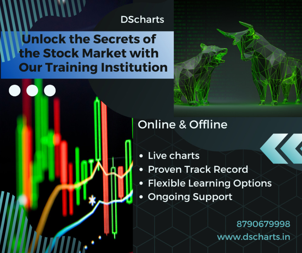 Unlock the Secrets of the Stock Market with Our Training Institution