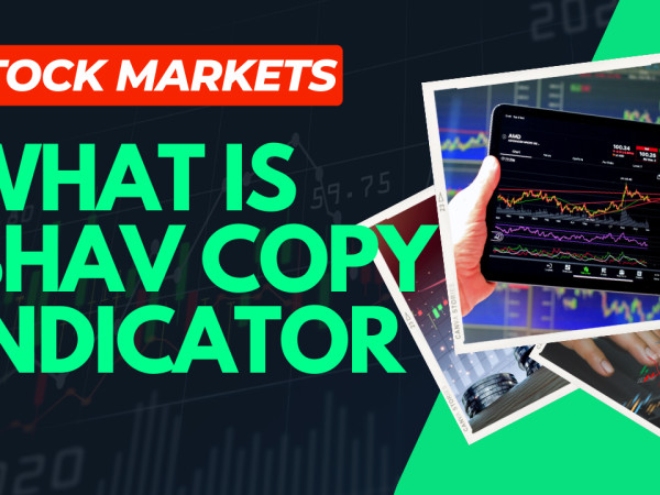 What is  BHAV copy indicator